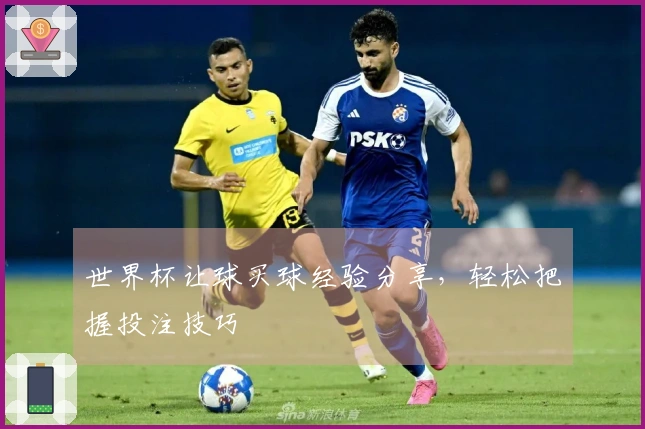世界杯让球买球经验分享，轻松把握投注技巧