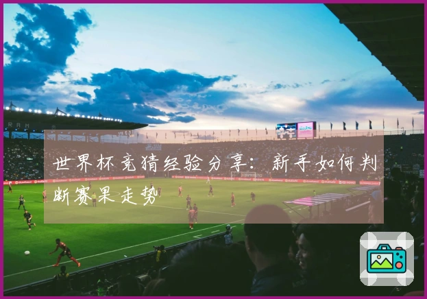 世界杯竞猜经验分享：新手如何判断赛果走势
