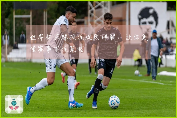 世界杯买球投注规则详解，让你更懂赛事下注策略