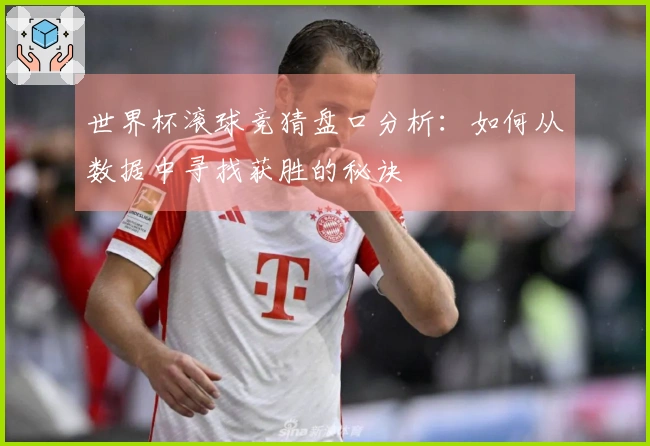 世界杯滚球竞猜盘口分析：如何从数据中寻找获胜的秘诀