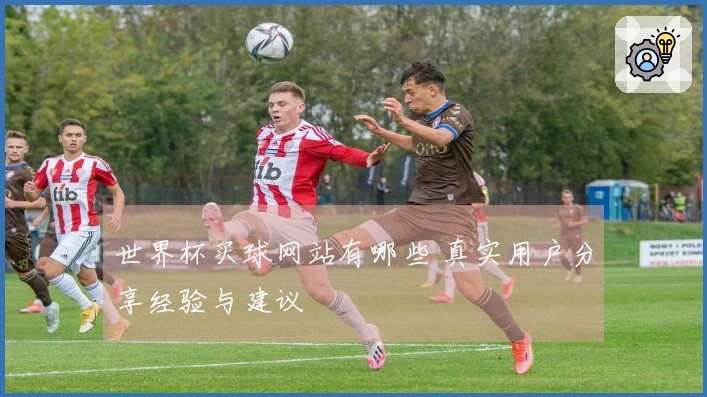世界杯买球网站有哪些 真实用户分享经验与建议