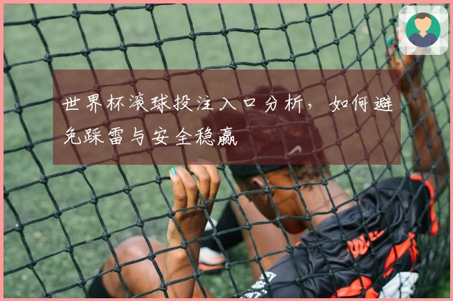 世界杯滚球投注入口分析，如何避免踩雷与安全稳赢