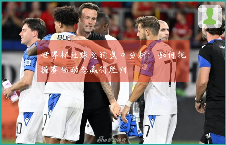 世界杯让球竞猜盘口分析：如何把握赛场动态赢得胜利